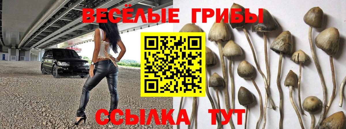 Галлюциногенные грибы Cubensis Ливны