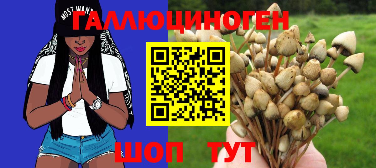Псилоцибиновые грибы Cubensis  Вход с VPN  Ливны 